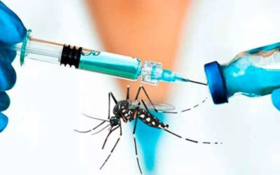 Las recomendaciones de los especialistas sobre la vacunación contra el dengue