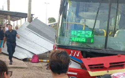 Accidente fatal en Moreno: un colectivo atropelló a cuatro personas y una murió