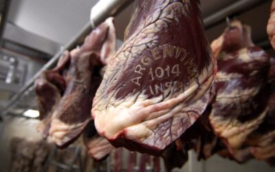Agricultura abrió el plazo para que empresas accedan al cupo de exportación de carne a EEUU