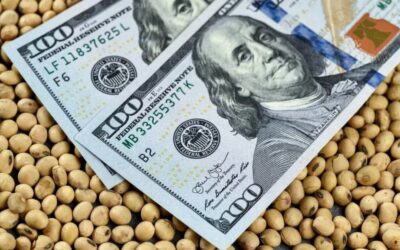 Récord de actividad en la cadena agropecuaria