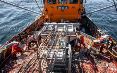 Trabajadores marítimos reclaman participar en debates laborales ante nuevas regulaciones