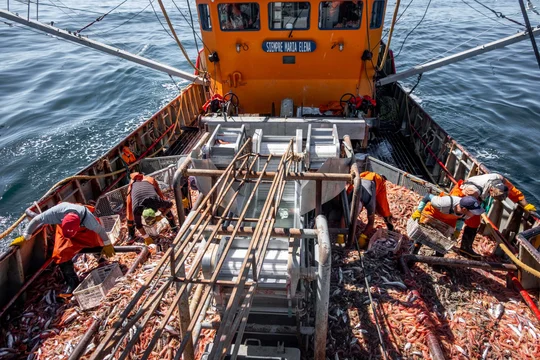 Trabajadores marítimos reclaman participar en debates laborales ante nuevas regulaciones
