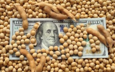 La liquidación del agro creció 17% en septiembre y aportó US$3.229 millones